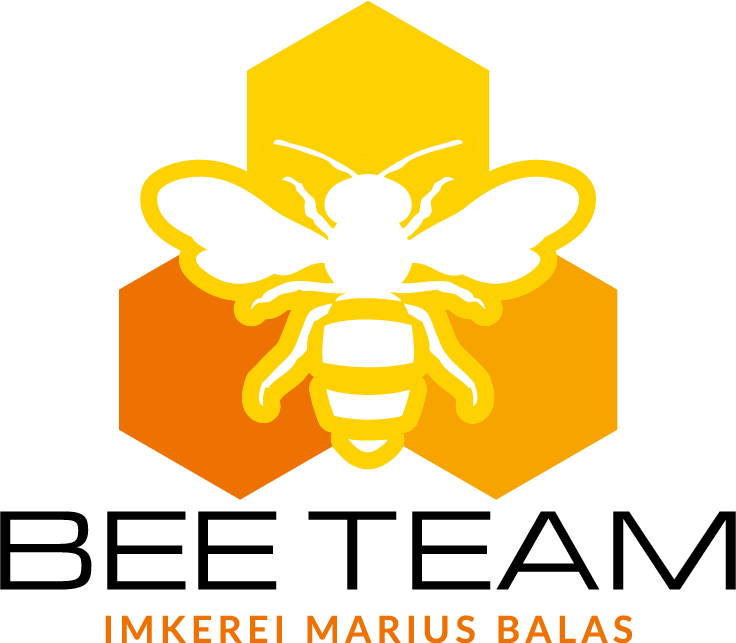 BEE-TEAM
